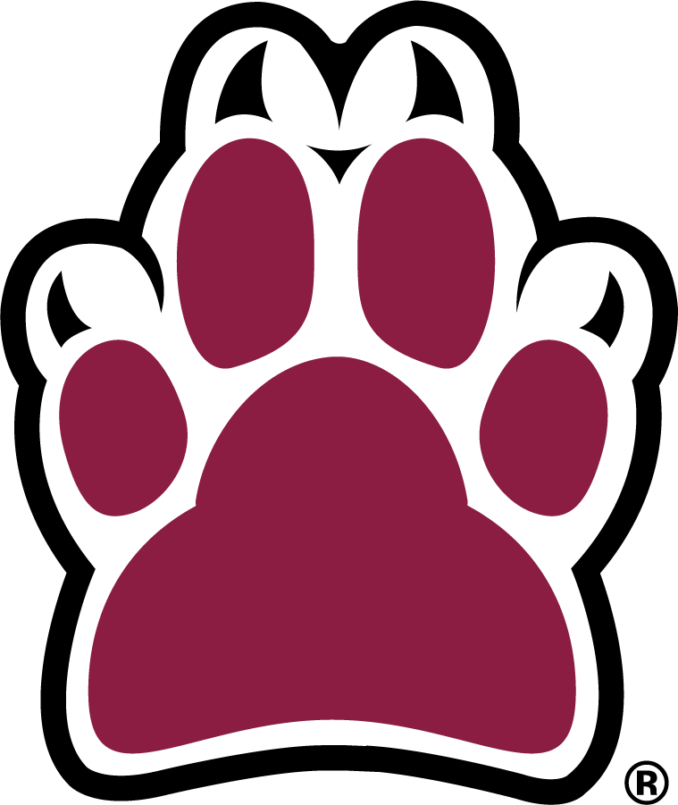 Loyola Ramblers 2003-2012 Secondary Logo iron on transfers for clothing